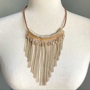 Express Beaded Fringe Necklace